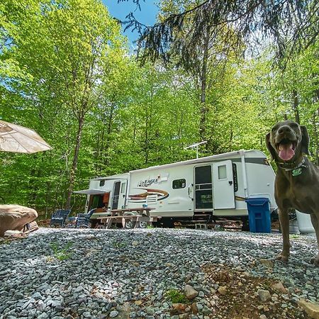 فندق Rv Adventure Roscoe Pet Friendly المظهر الخارجي الصورة